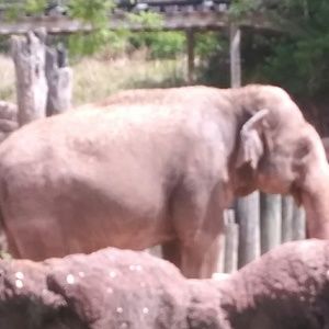 Meet your Posher, Debra